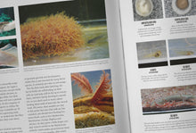 Load image into Gallery viewer, The Bichir Handbook