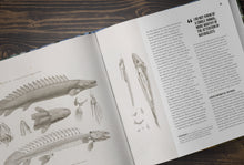 Load image into Gallery viewer, The Bichir Handbook
