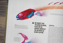 Load image into Gallery viewer, The Bichir Handbook
