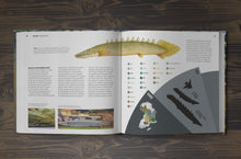 Load image into Gallery viewer, The Bichir Handbook
