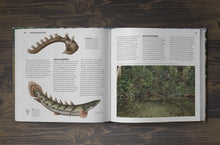 Load image into Gallery viewer, The Bichir Handbook
